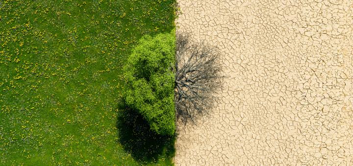 Sustainability-image-1