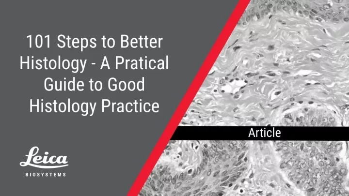 101 Steps to Better Histology Practical Guide Article Thumbnail