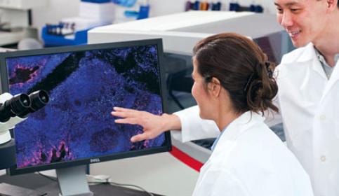 Digital Pathology - Image Analysis Solutions