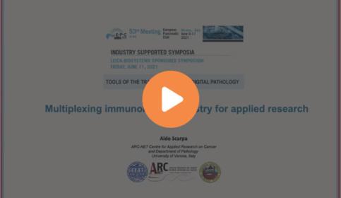 tools-of-the-trade-multiplexed-digital-pathology-640x410