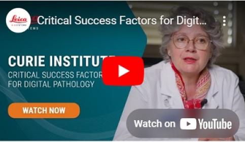 Curie-Institute-Critical-Success-Factors-for-Digital-Pathology-400x227