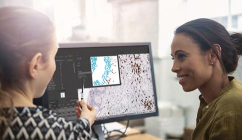 Analyze-category-page-640x410