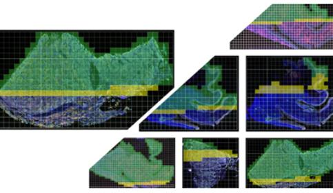 halo-Analysis-Cluster-Add-on