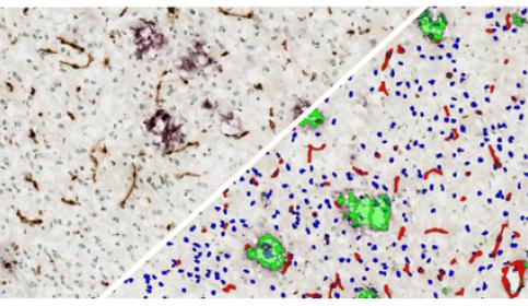 halo-Object-Colocalization
