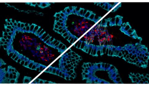 halo-Spatial-Analysis