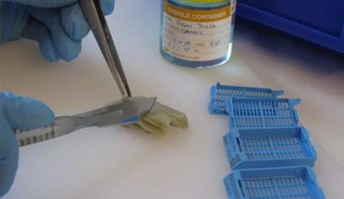 an-introduction-to-specimen-preparation-640x480