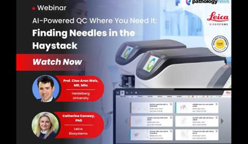 AI-Powered QC Where You Need It