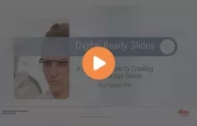 digital-ready-slides-640x410