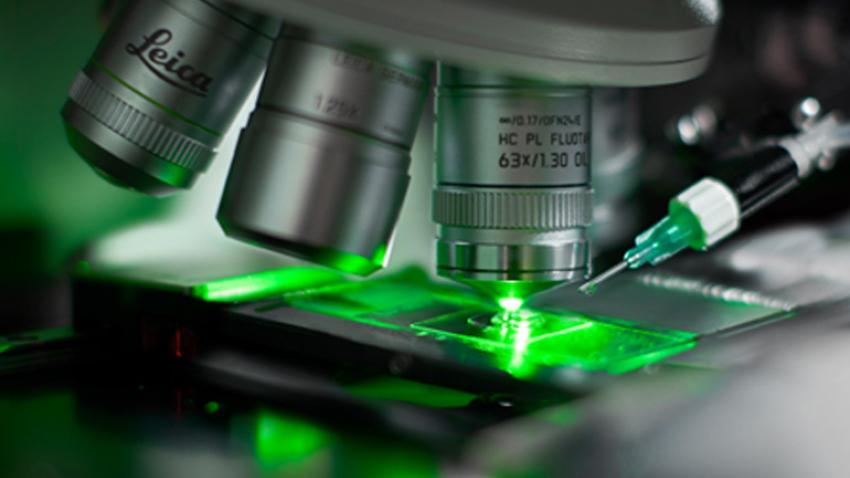 The CytoInsight GSL system automates the time-consuming steps so the technologist can concentrate on analysis while improving time to results.