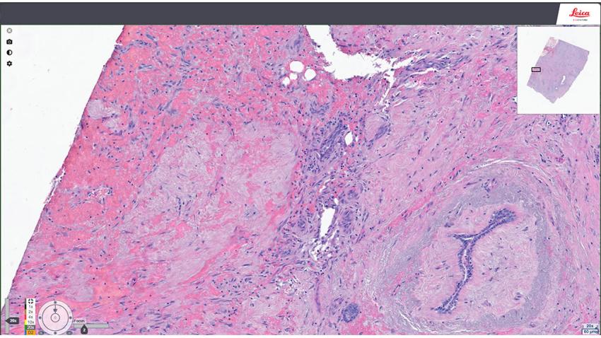 Seamless Digital Workflow