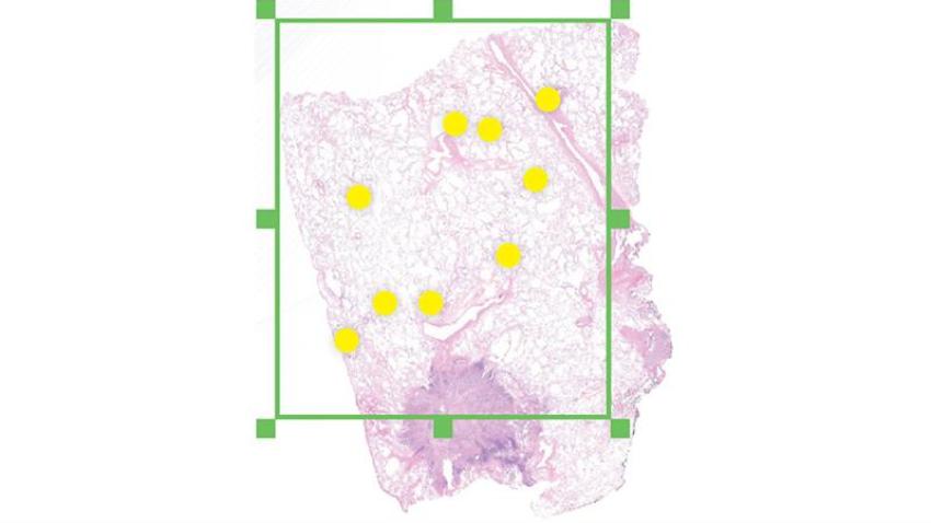 Valuable for your workflow and essential for high-quality results