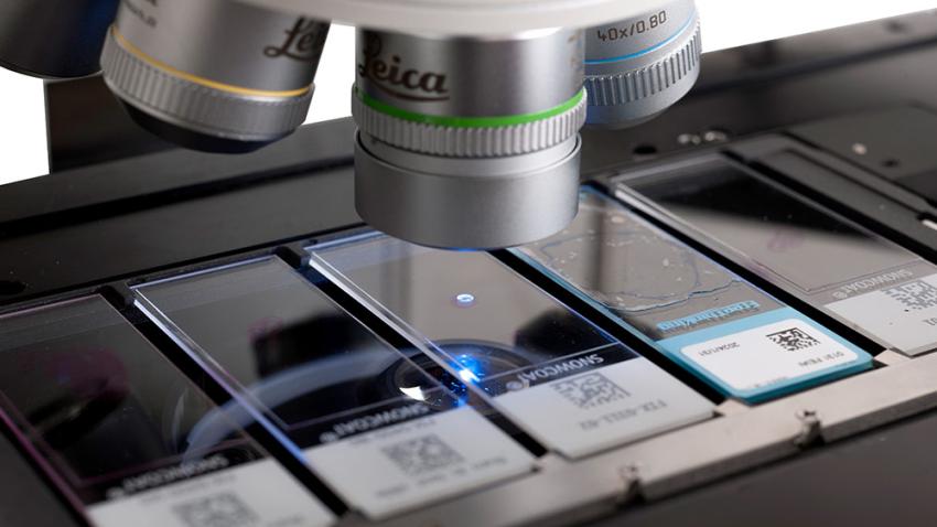 Excellent Image Quality