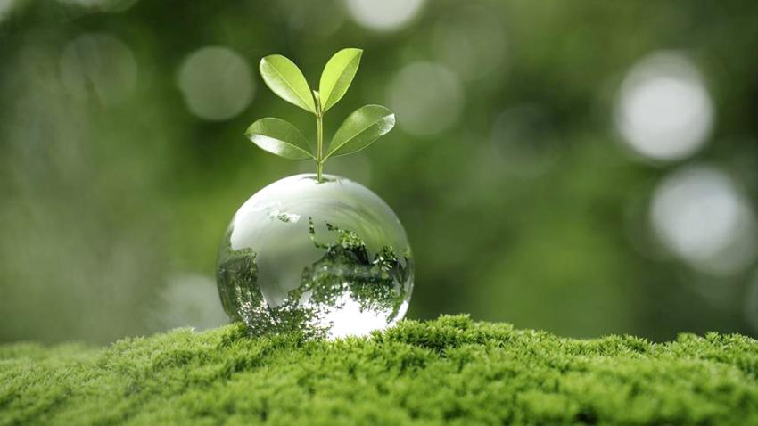 Reduce Environmental impact