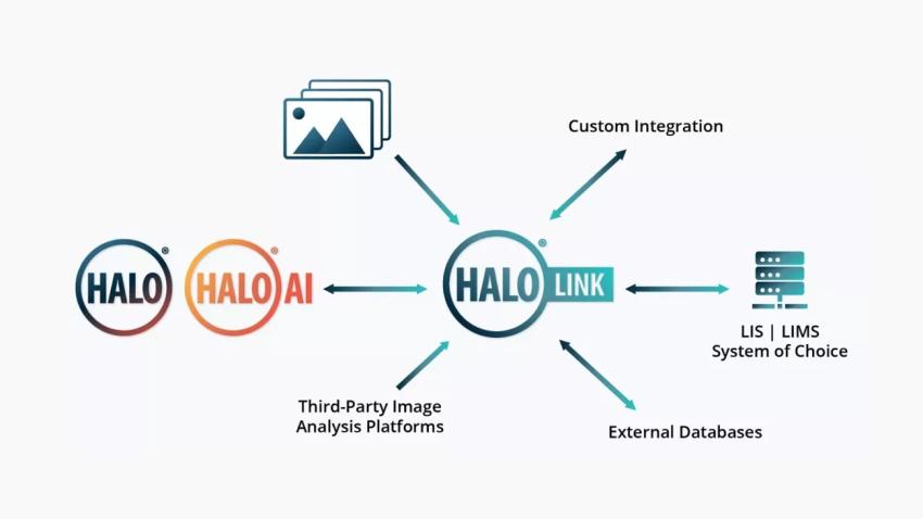 Integration-Deployment-HALO-Link