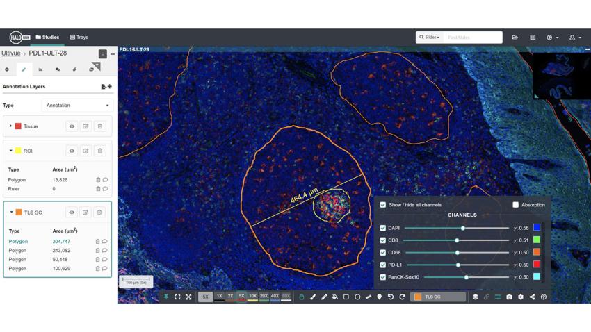halo-link-Advanced-Viewer_FL