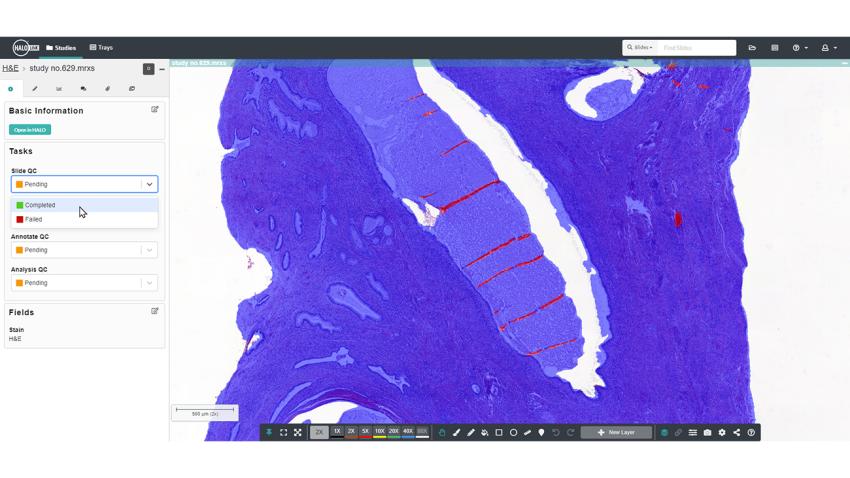 halo-link-SlideQC-BF_Tasks